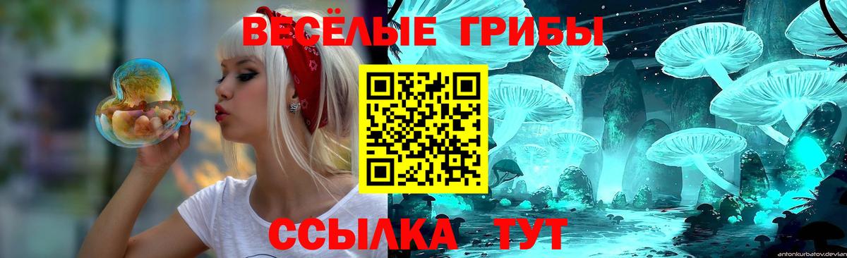 Псилоцибиновые грибы GOLDEN TEACHER  Вход с VPN  как найти наркотики  Белгород 